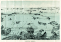 Fine pocket map of Boston Harbor and surrounding region