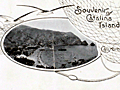 Topographical Map of the Island of Santa Catalina, California.