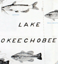 Two charts of recreation facilities on the Okeechobee Waterway.