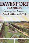 Fine map for Holly Hill Groves in Davenport, Florida.